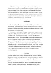 Narkotikų žala paaugliams 7 puslapis