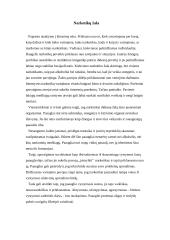 Narkotikų žala paaugliams 9 puslapis