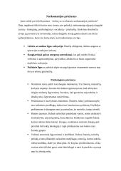 Narkotikų žala paaugliams 10 puslapis