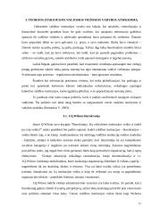 Naujojo viešojo administravimo samprata 11 puslapis