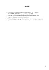 Naujojo viešojo administravimo samprata 15 puslapis