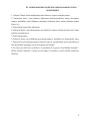 Nekilnojamojo turto pirkimas–pardavimas 8 puslapis