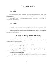 Nepilnamečių globa ir rūpyba 3 puslapis