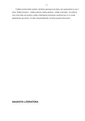 Niekiniai ir nuginčijami sandoriai 13 puslapis