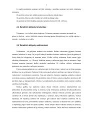 Niekiniai ir nuginčijami sandoriai 4 puslapis