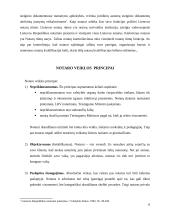 Notariato savivalda 5 puslapis