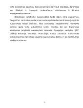 Nuosavybės teisė civilinėje teisėje 15 puslapis