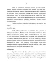 Paauglio asmenybės raida 13 puslapis
