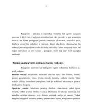 Paauglio asmenybės raida 3 puslapis