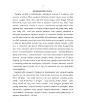 Paauglio psichosocialinės situacijos 2 puslapis