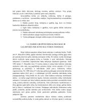 Paauglių darbas mažose grupėse per kūno kultūros pamokas 8 puslapis