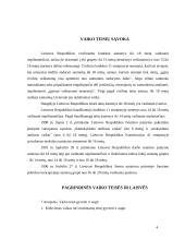 Pagrindinės vaiko teisės ir laisvės 3 puslapis