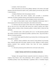 Pagrindinės vaiko teisės ir laisvės 5 puslapis