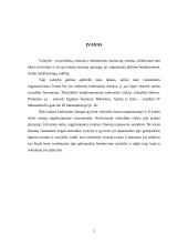 Pamatiniai valstybės organizavimo principai 2 puslapis