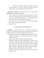 Pamatiniai valstybės organizavimo principai 11 puslapis