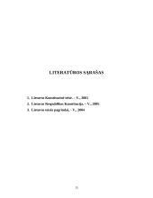 Pamatiniai valstybės organizavimo principai 15 puslapis