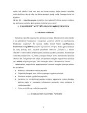 Pamatiniai valstybės organizavimo principai 6 puslapis