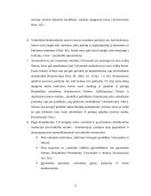 Pamatiniai valstybės organizavimo principai 9 puslapis