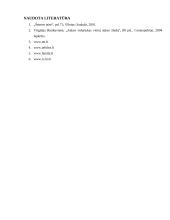 Partnerystė Lietuvoje 13 puslapis