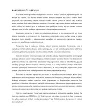 Partnerystė Lietuvoje 3 puslapis