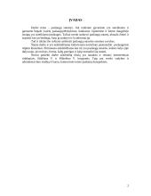 Paslaugų sutarties samprata, šalys, dalykas bei forma 2 puslapis