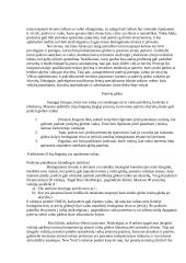 Patėvio teisės į vaiką po skyrybų 2 puslapis