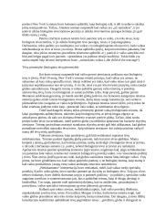 Patėvio teisės į vaiką po skyrybų 3 puslapis