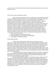 Patėvio teisės į vaiką po skyrybų 4 puslapis