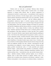 Pažinimo aiškinimas Platono filosofijoje 2 puslapis