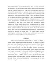 Pažinimo aiškinimas Platono filosofijoje 12 puslapis