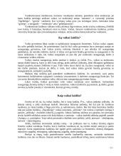 Pažintinė ir psichosocialinė raida ankstyvojoje vaikystėje 16 puslapis