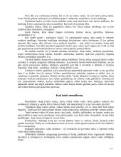 Pažintinė ir psichosocialinė raida ankstyvojoje vaikystėje 19 puslapis