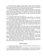 Pažintinė ir psichosocialinė raida ankstyvojoje vaikystėje 5 puslapis