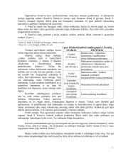 Pažintinė ir psichosocialinė raida ankstyvojoje vaikystėje 7 puslapis