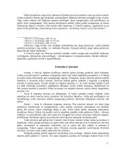 Pažintinė ir psichosocialinė raida ankstyvojoje vaikystėje 8 puslapis