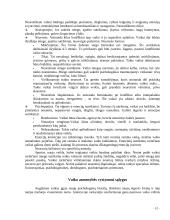Pažintinė ir psichosocialinė raida ankstyvojoje vaikystėje 10 puslapis