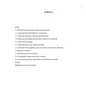 Piratavimas ir nusikaltimai internete 2 puslapis