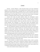 Piratavimas ir nusikaltimai internete 3 puslapis