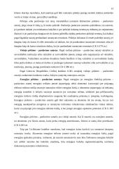 Pirkimo-pardavimo sutartis bei jos rūšys 13 puslapis