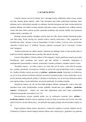 Pirkimo-pardavimo sutartis bei jos rūšys 5 puslapis