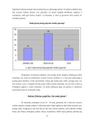 Pirmoji meilė 13 puslapis