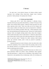 Pirmosios graikų filosofijos mokyklos. Sokratas 9 puslapis