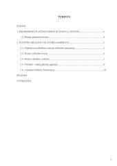 Platonas – idealios valstybės modeliuotojas 2 puslapis