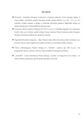 Platonas – idealios valstybės modeliuotojas 11 puslapis