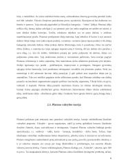 Platonas – idealios valstybės modeliuotojas 6 puslapis