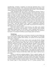 Platono “Valstybė” ketvirta – septinta knygos 4 puslapis