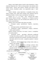 Platono filosofija 7 puslapis