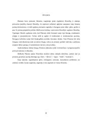 Platono idėjų pasaulis ir tobulo žmogaus koncepcija 8 puslapis