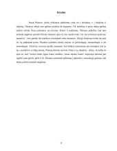 Pažinimas ir Platono pažinimo teorija 11 puslapis