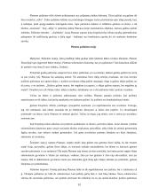 Pažinimas ir Platono pažinimo teorija 13 puslapis